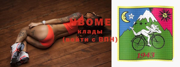 прущие грибы Вяземский