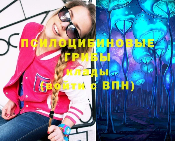 MDMA Premium VHQ Горнозаводск