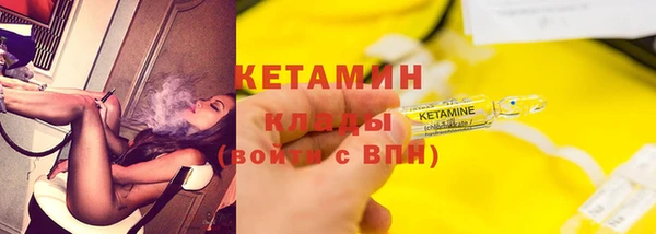прущие грибы Вяземский