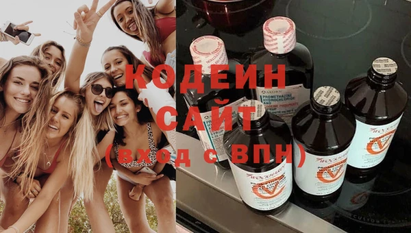 прущие грибы Вяземский