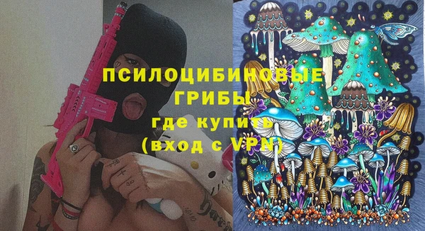 MDMA Premium VHQ Горнозаводск